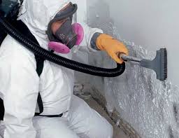 Best Residential Mold Inspection & Testing  in Livonia, LA